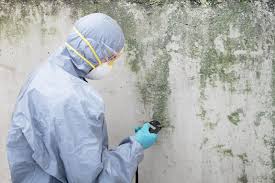 Best Mold Remediation for Healthcare Facilities in Pablo, MT